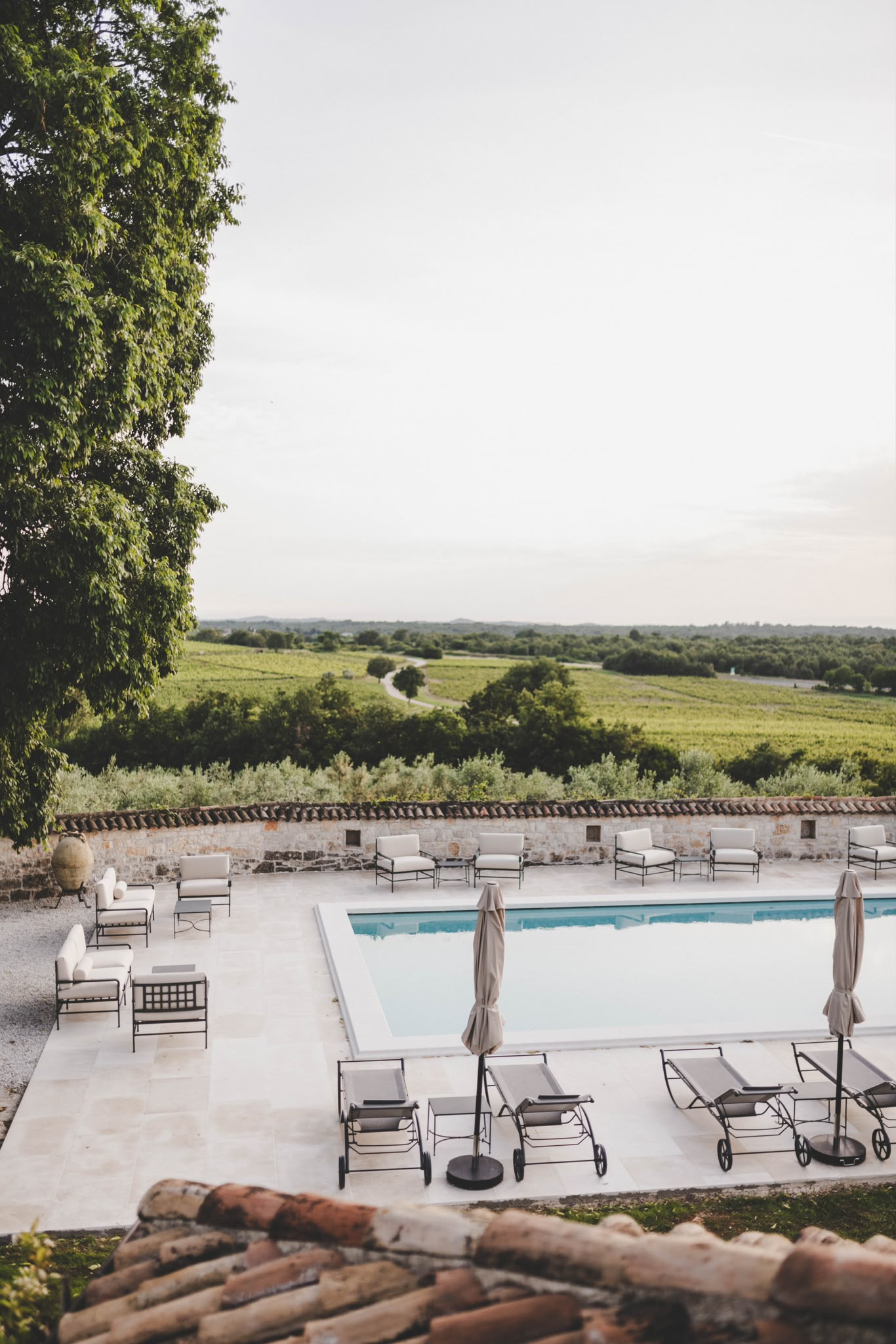 Istrian Vineyard Terrace