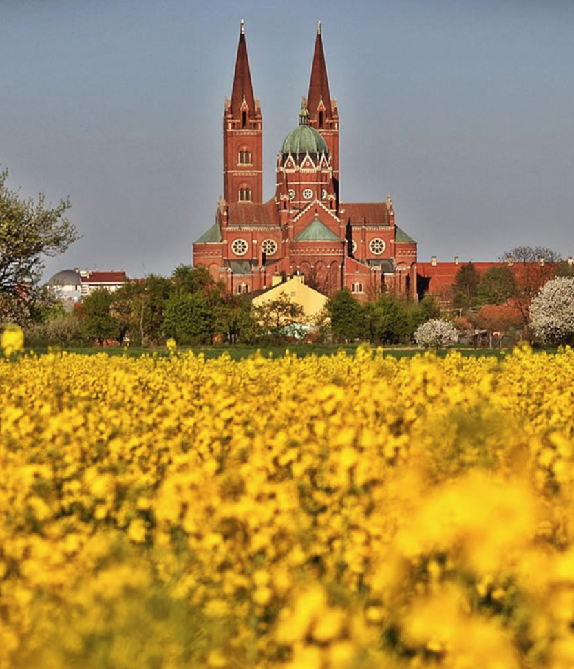 Slavonia Countryside